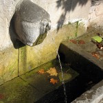 Castalia Spring ©2009 Charlene Nevill